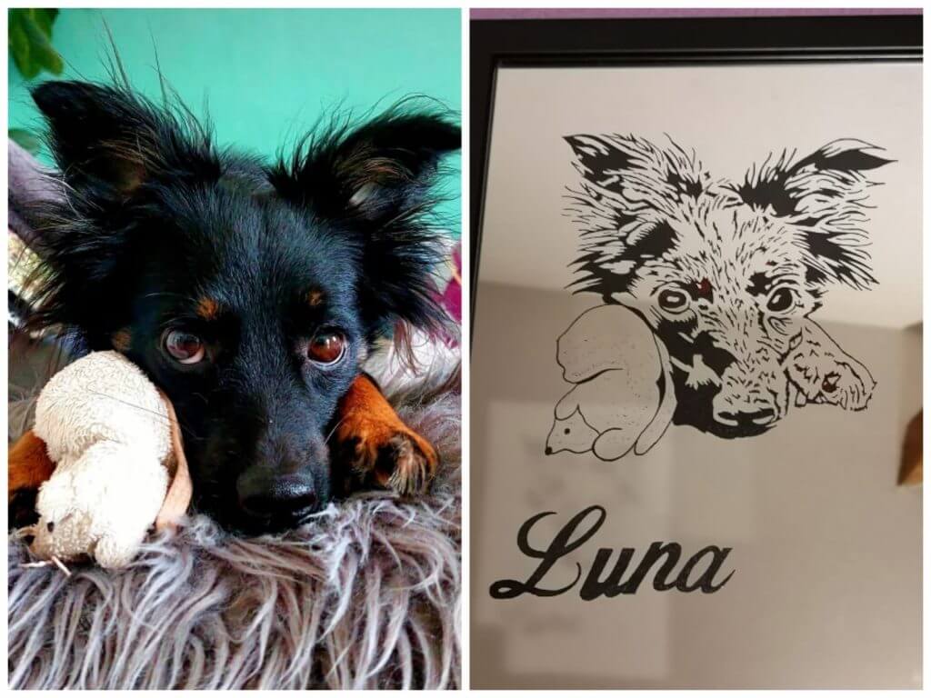 Porträtzeichnung kleiner schwarzer Hund